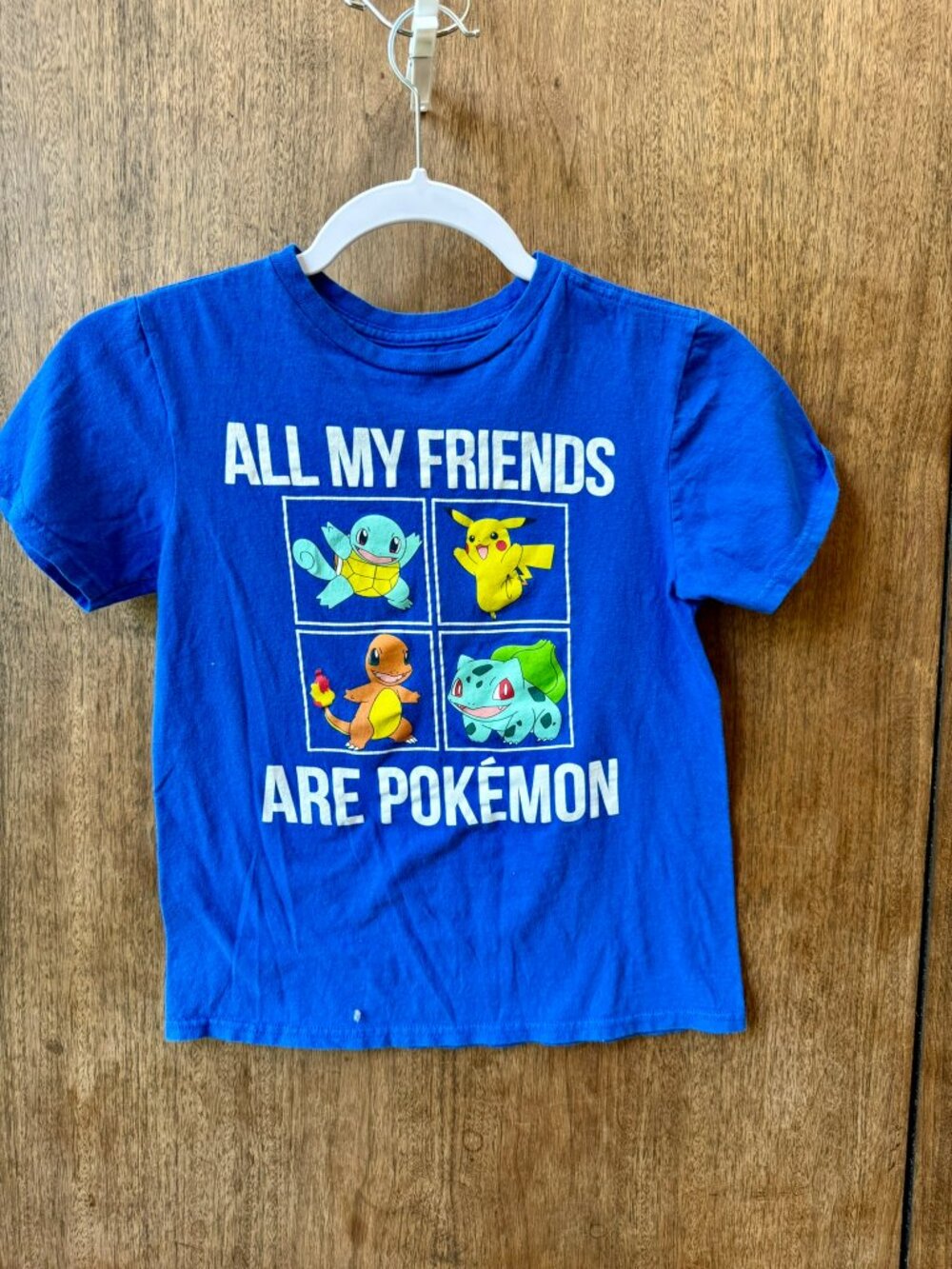 Pokémon and friend’s Blue Graphic T-Shirt Boys size Medium
